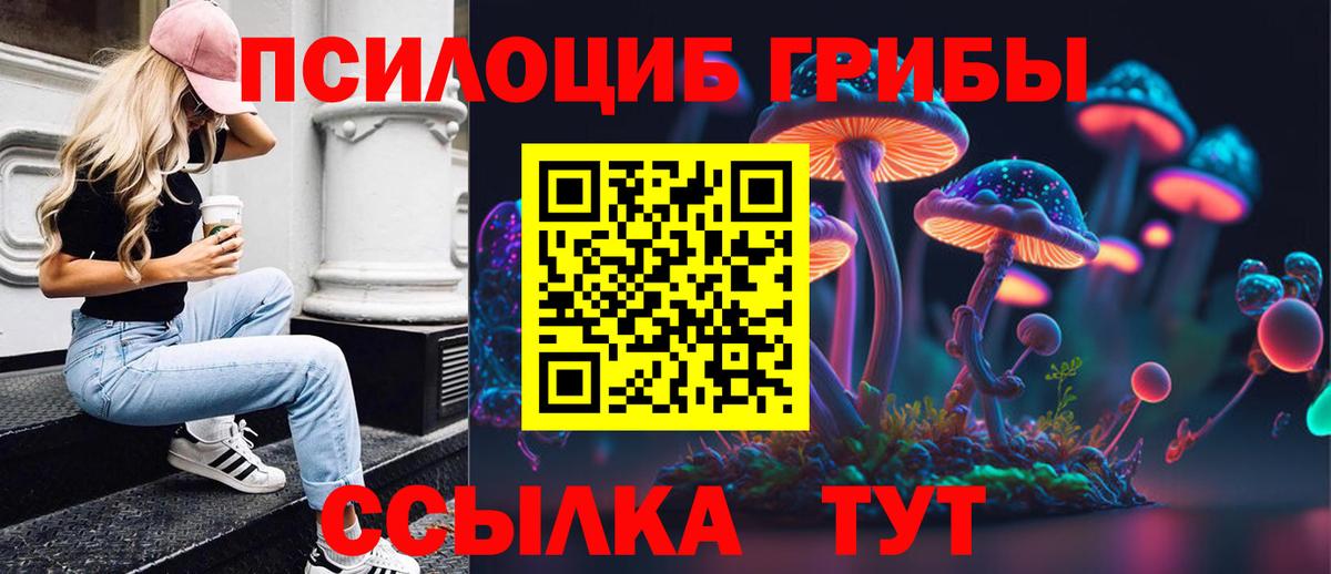 Псилоцибиновые грибы мицелий Отрадный