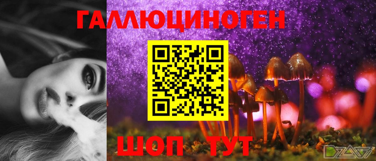 Отрадный  Псилоцибиновые грибы мицелий  Вход с VPN  Псилоцибиновые грибы Magic Shrooms 